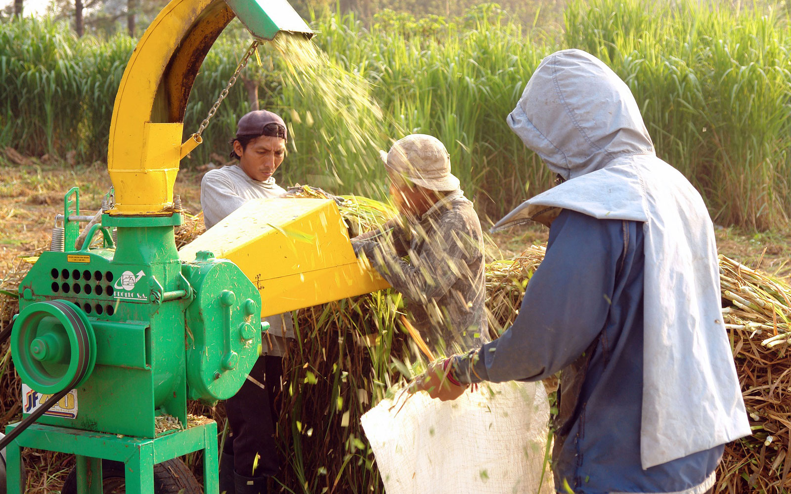 #Desesperados: Los granjeros están dispuestos a rentar tierras en