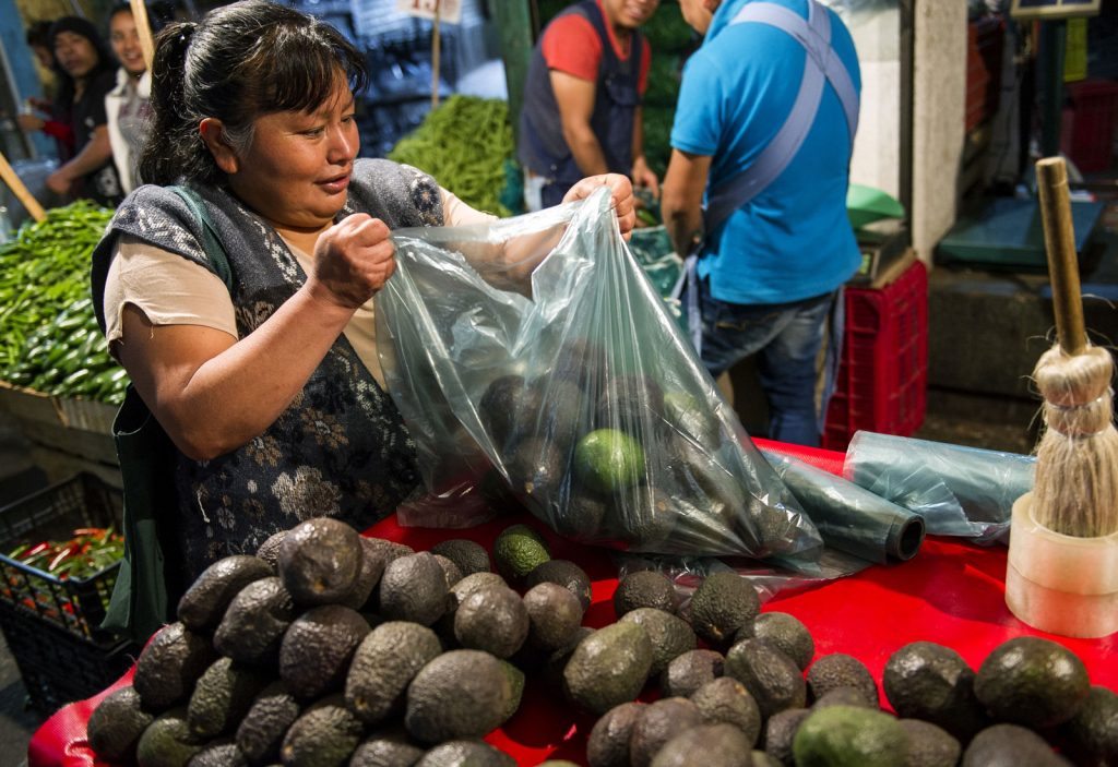 Aguacate en los mercados de México