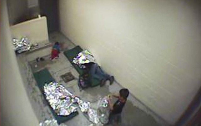 ImagenCeldasMigra