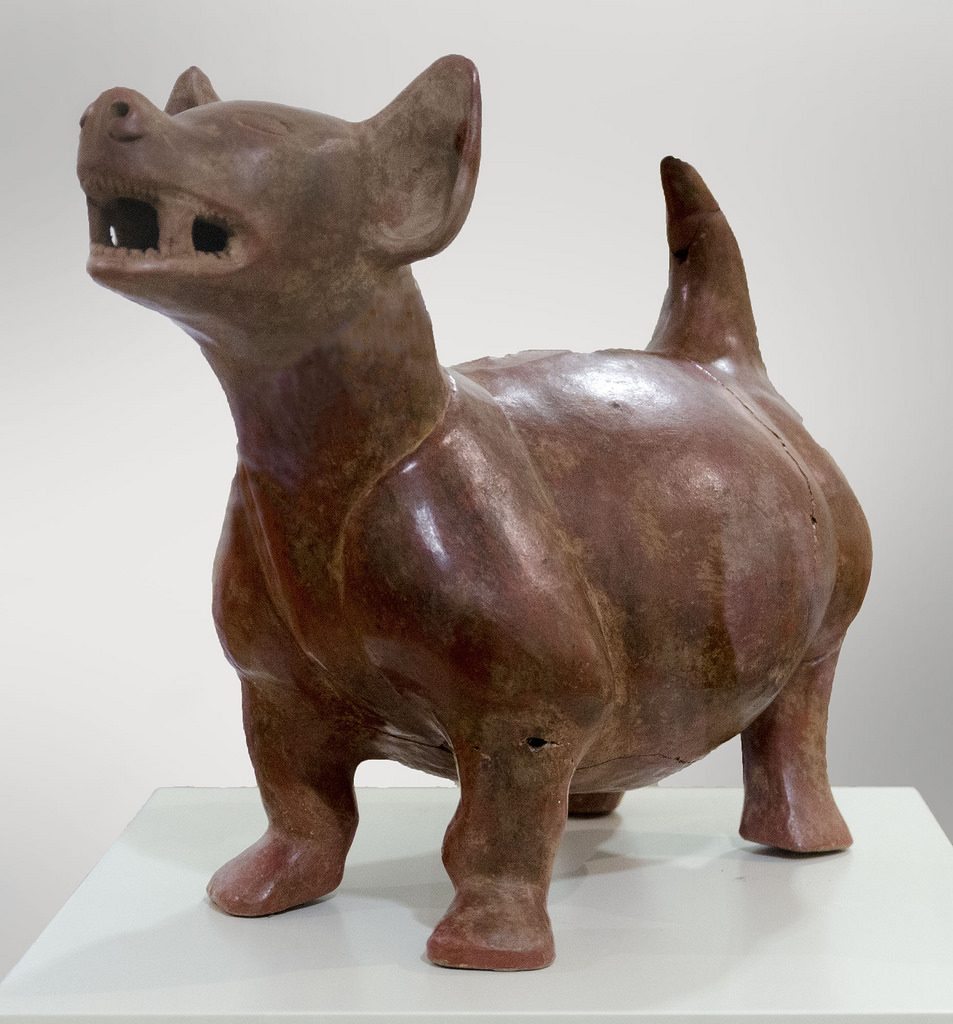 perros-razas-prehispanicas