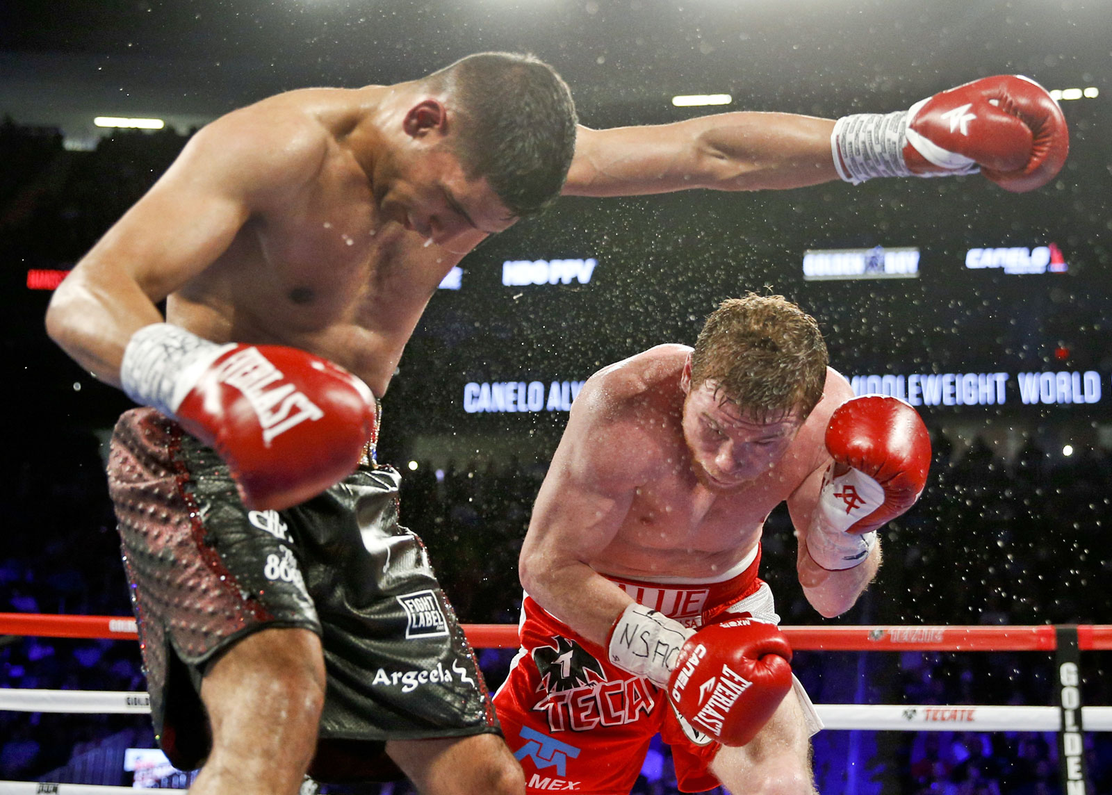 canelo-oscar-c