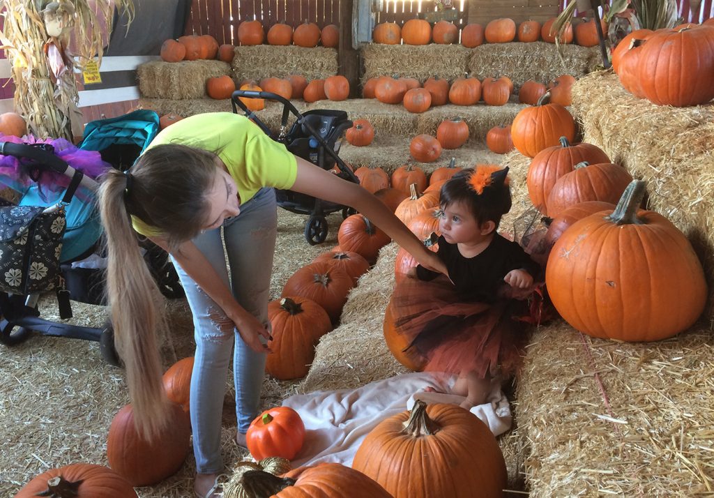Shirley Pina straightens the outfit of her 9-month-old daughter, Ivanna Lugo, for a photo at the Tolmachoff Farms pumpkin patch on Wednesday, Oct. 26, 2016 in Glendale, Ariz. In Arizona, jack-o'-lanterns may not be the only things face-melting this Halloween. The state is in the midst of a heat wave that has made October one of the hottest in years, including lengthy runs of 90-plus degree days in Phoenix and Tucson that could break a record Thursday. (AP Photo/Terry Tang)