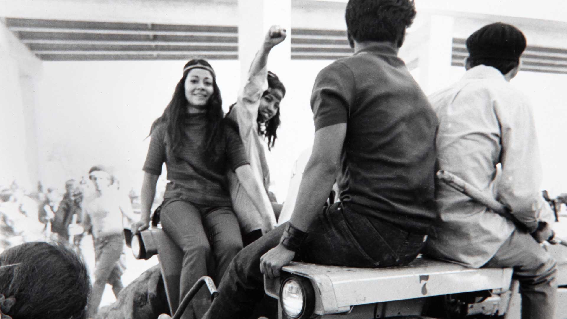 ChicanoPark_chicanafist