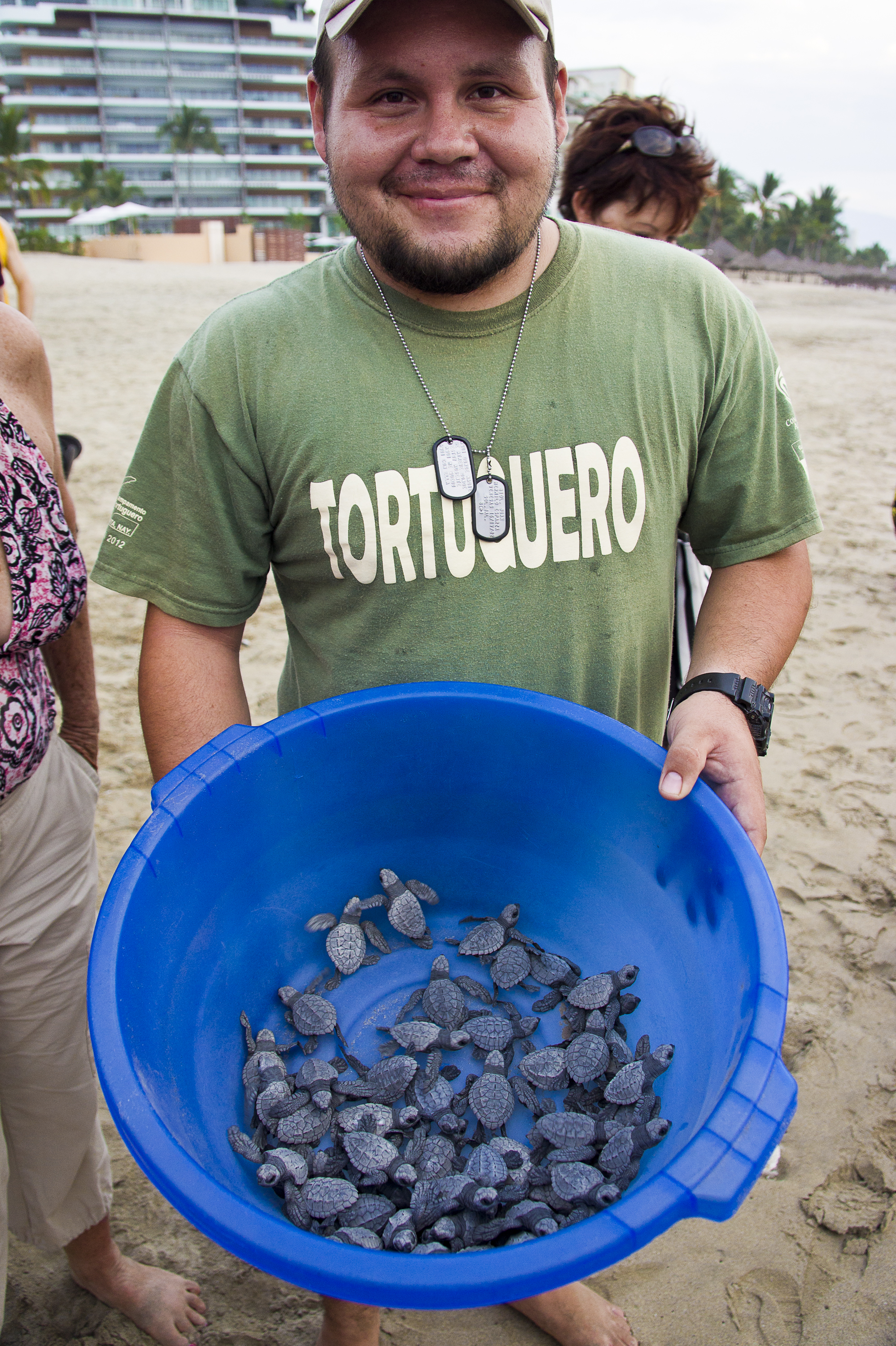 tortugas SONY DSC