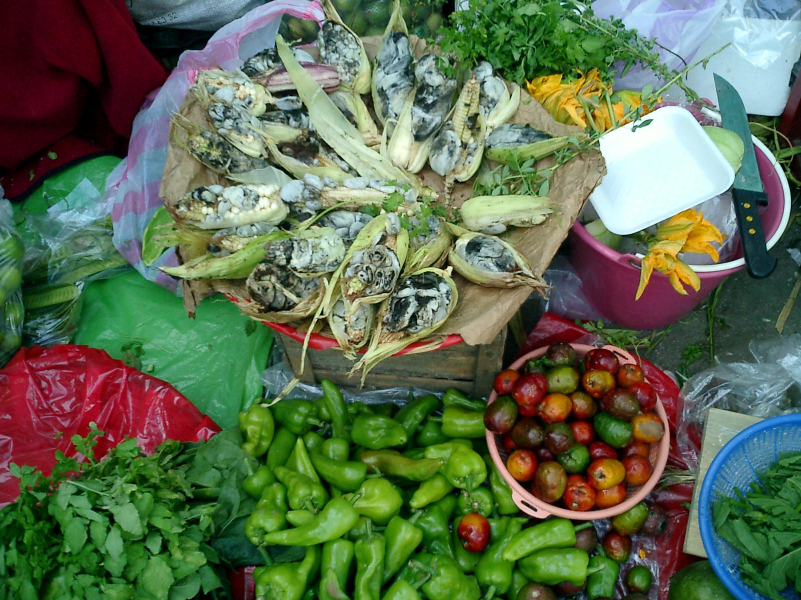 huitlacoche