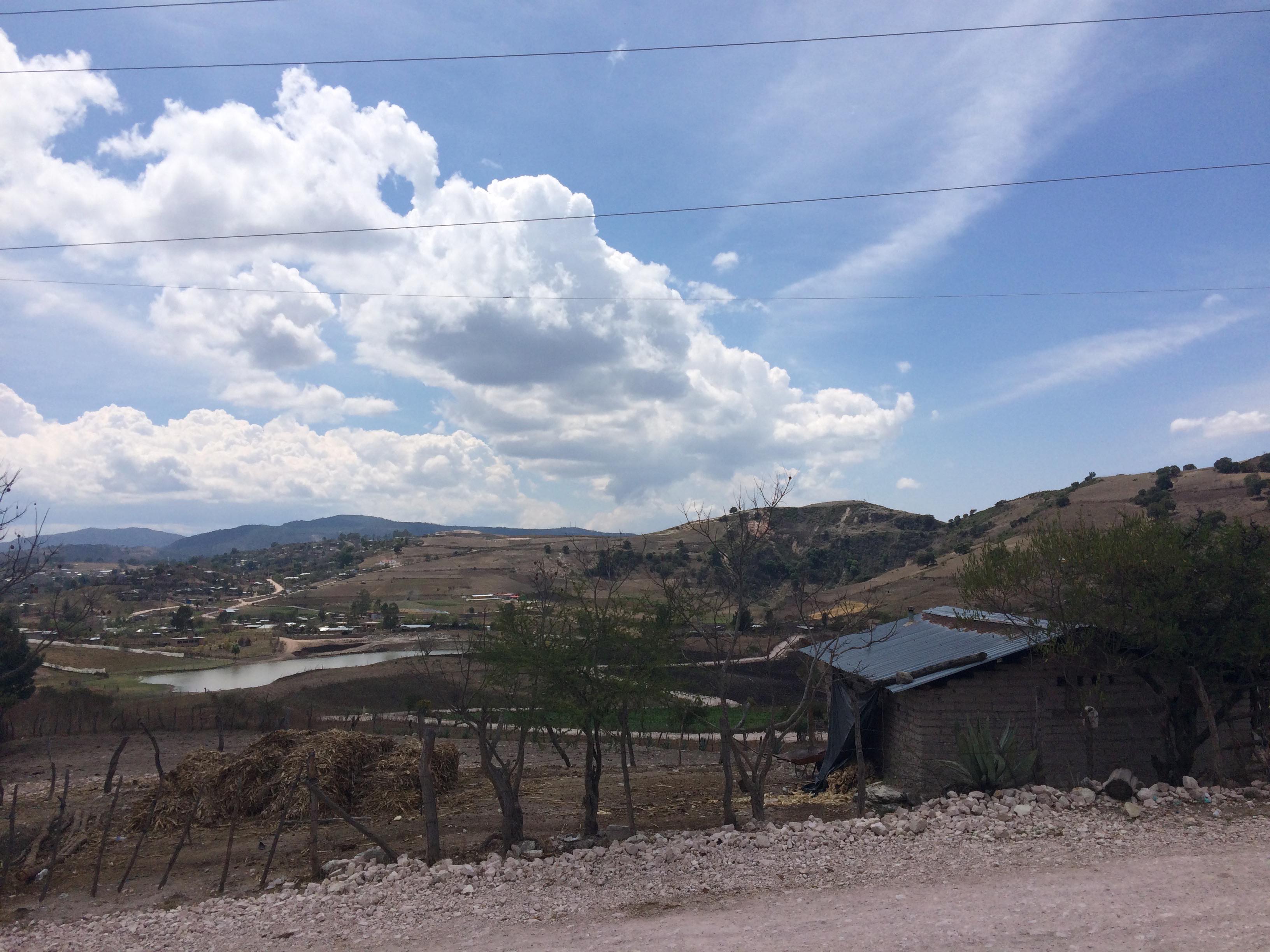 mezcal