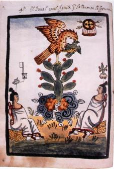 nopal