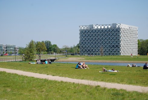 doctorado en Holanda