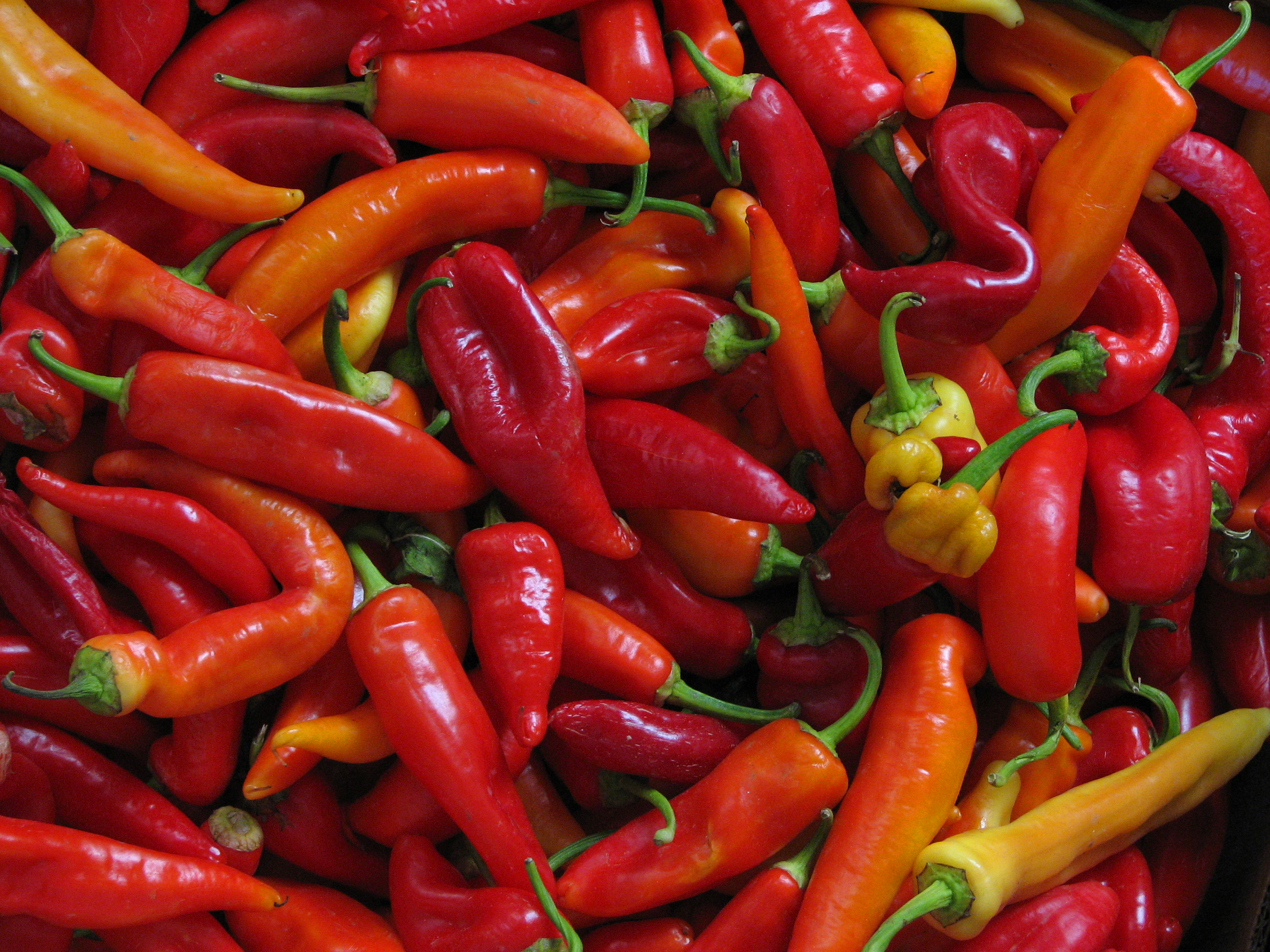 chiles