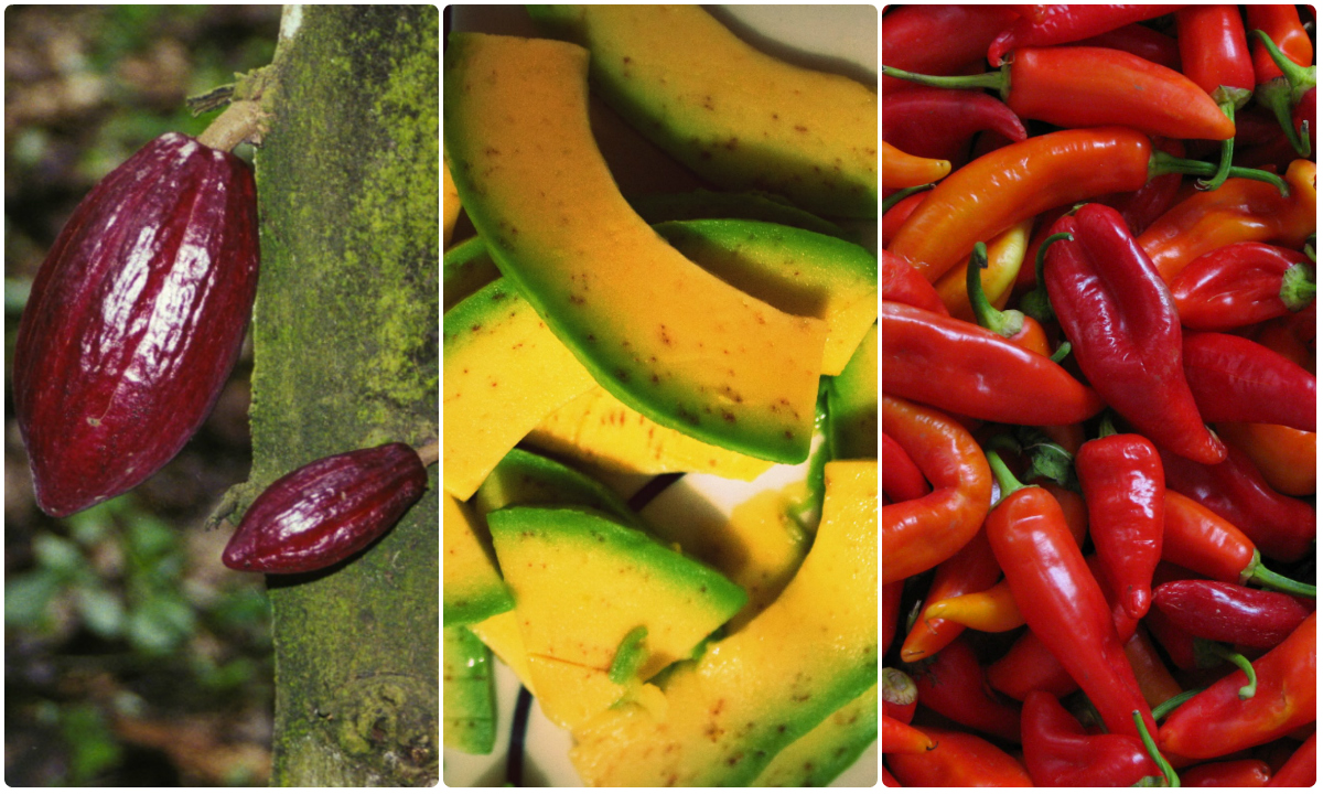 Cocina mexicana. Alimentos.
