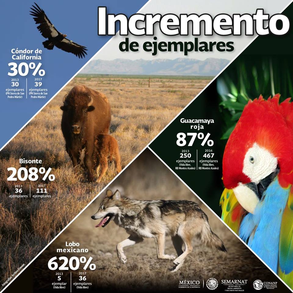 Especies en peligro. Aumento de ejemplares.