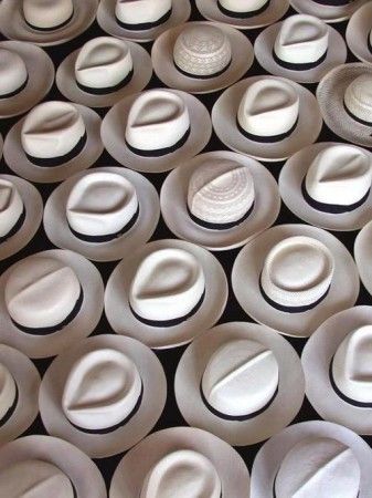 Sombreros jipijapa.