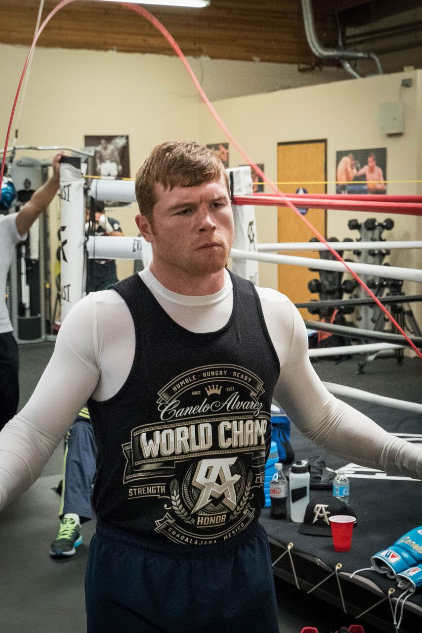Canelo Alvarez vs JC Chavez Jr