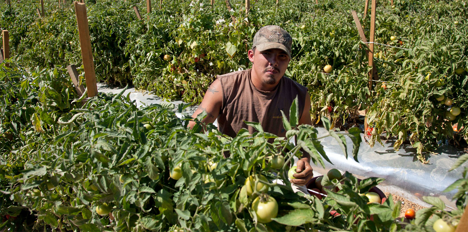 Trabajadores Inmigrantes en Iowa