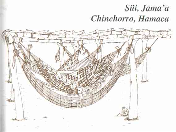Chinchorro, hamaca.
