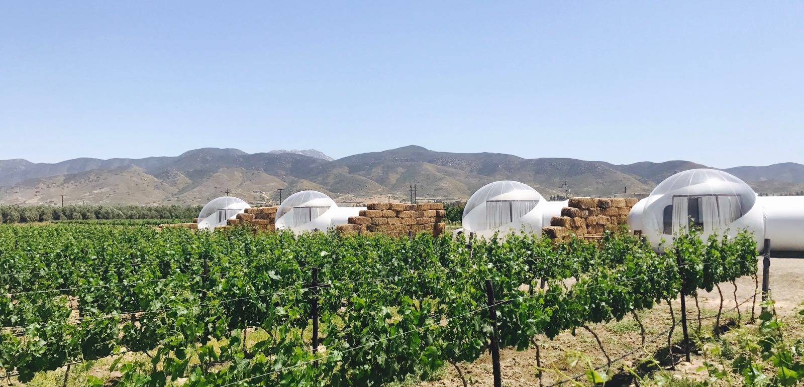 El Campera Hotel, en el Valle de Guadalupe.