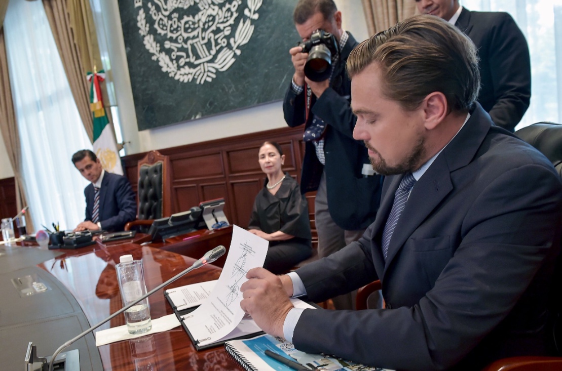 Leonardo Dicaprio firma acuerdos para proteger a la vaquita marina.