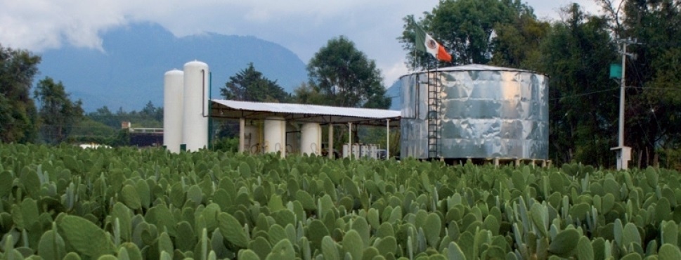 Biogás de nopal
