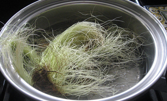 Pelos de elote