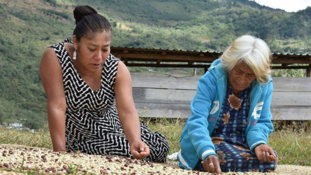 #Fregona: Mujer zapoteca gana el primer lugar en concurso de fotografía latinoamericana
