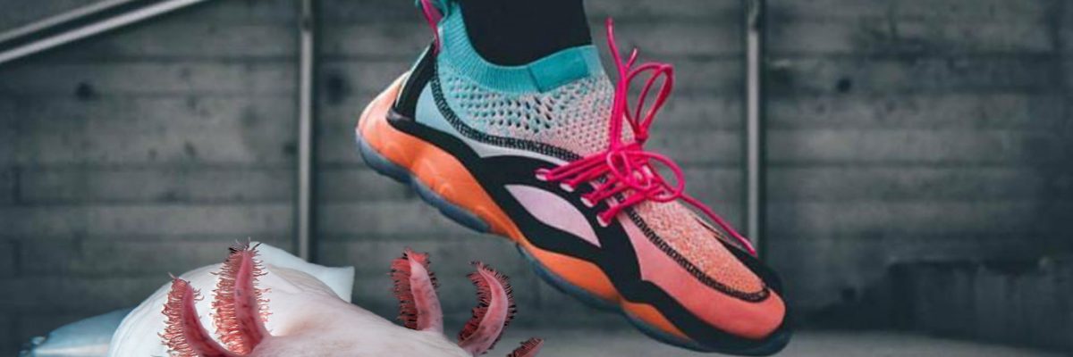 tenis reebok edicion especial